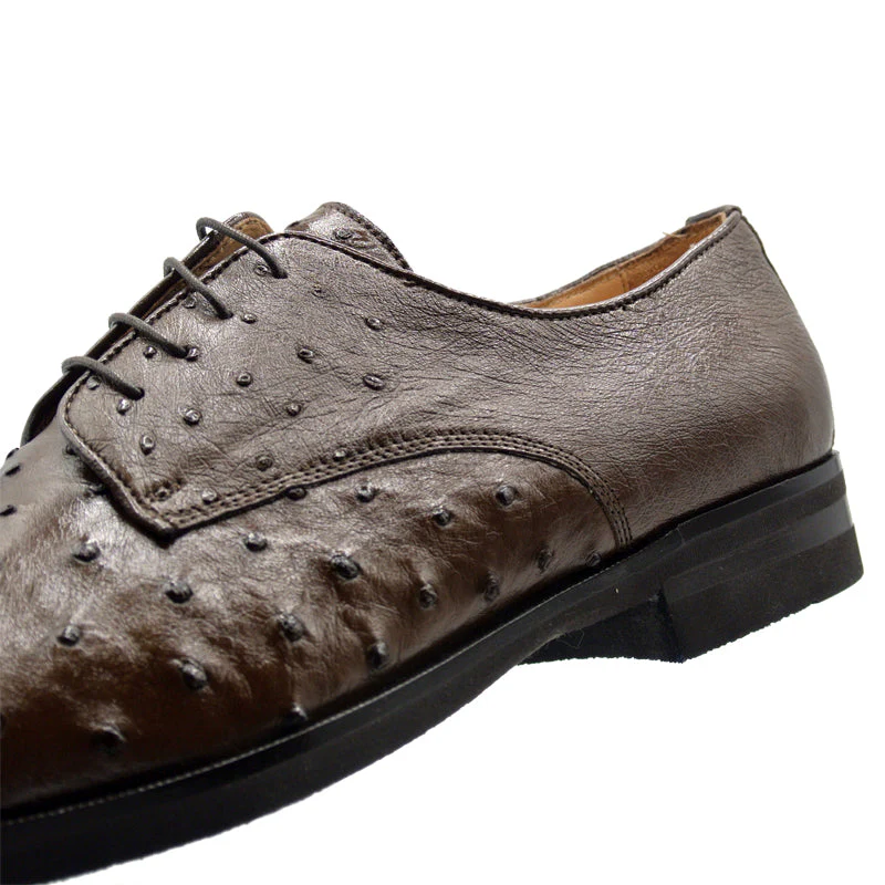 23-538-BRN ANDREA Ostrich Quill Lace Up, Brown - Image 5