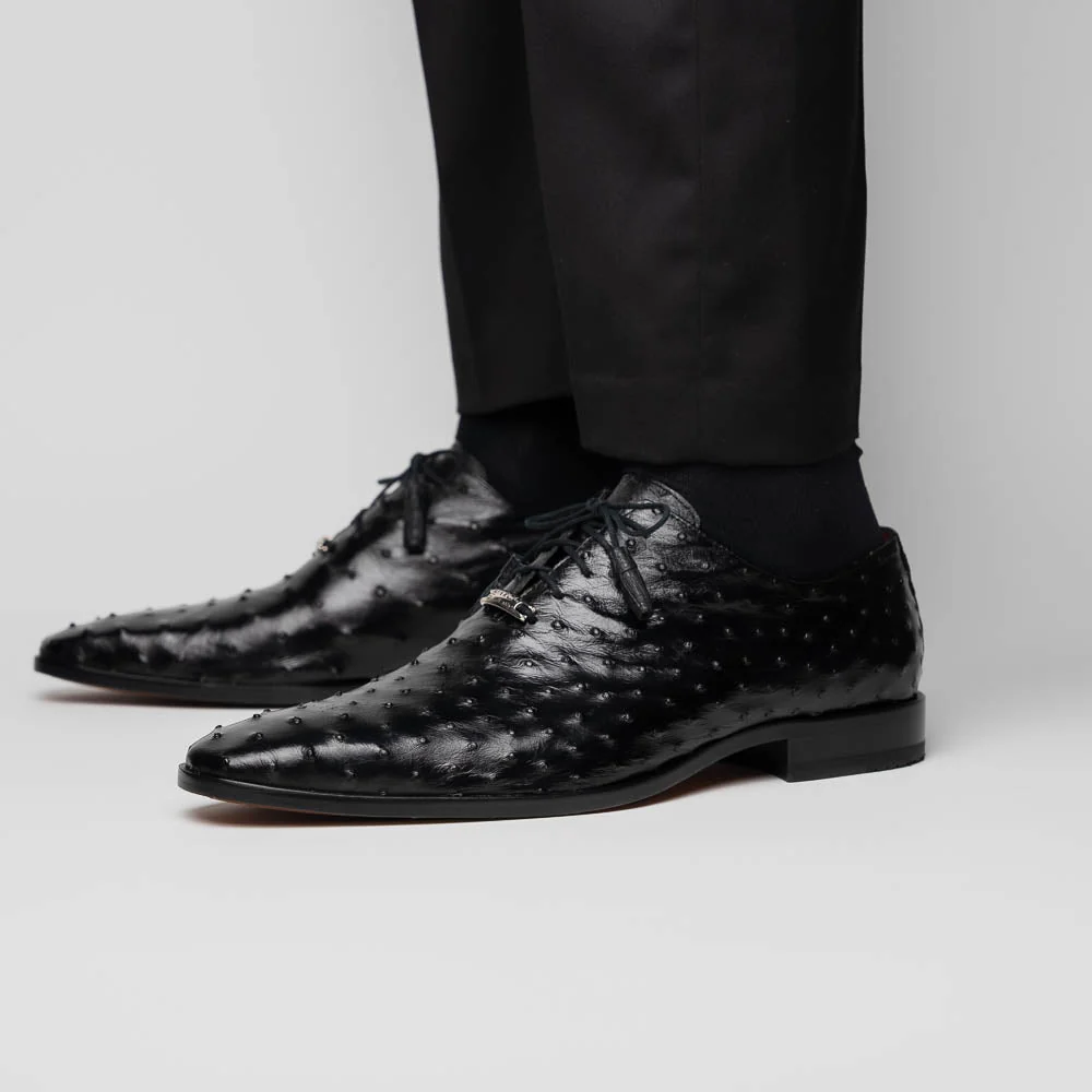 Criss Black - Image 6
