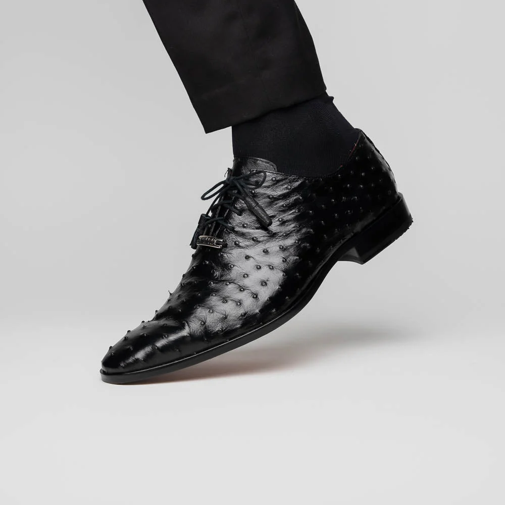 Criss Black - Image 7