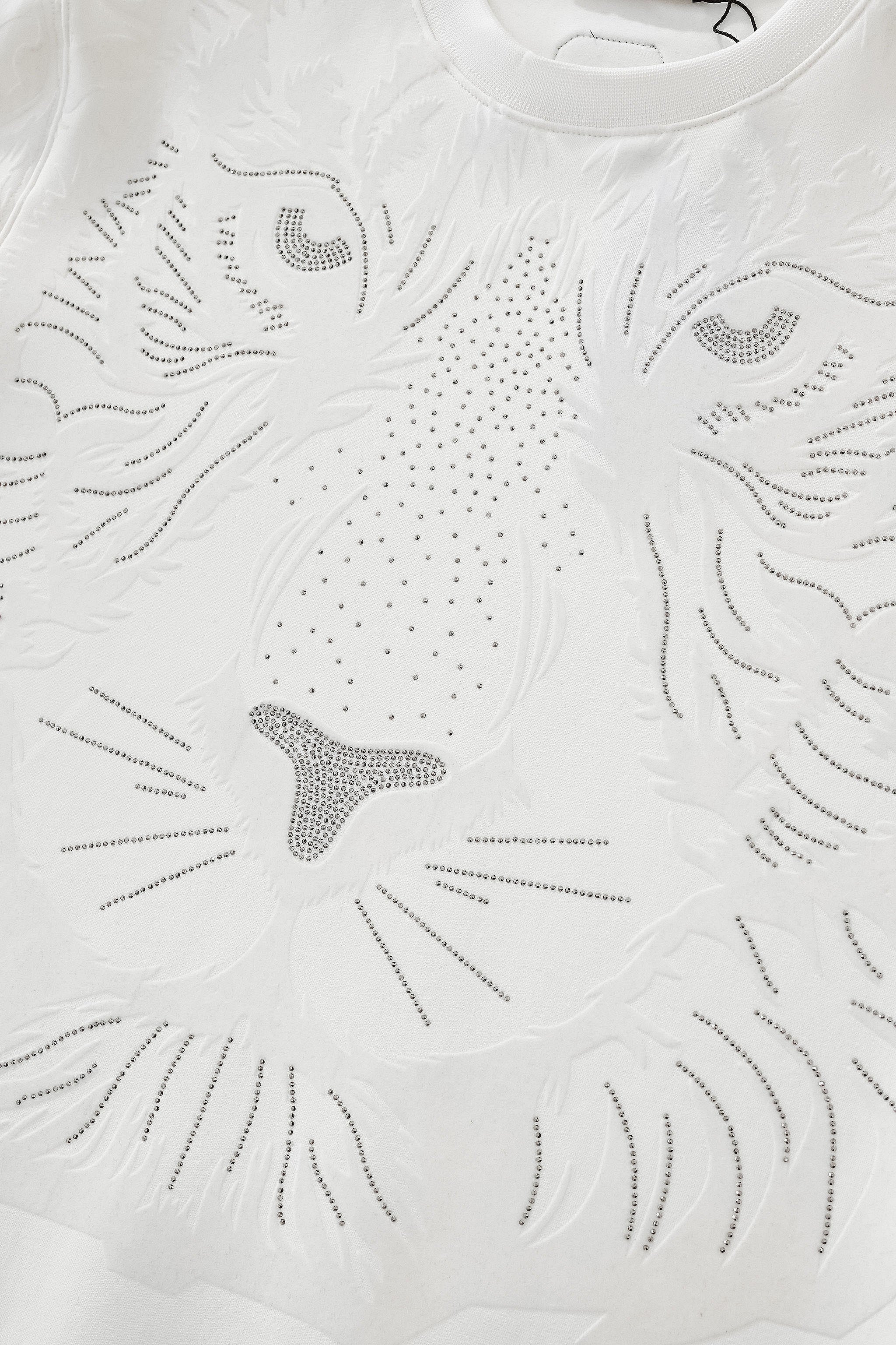 Barocco Midnight Roar sweatshirt WHITE - Image 5