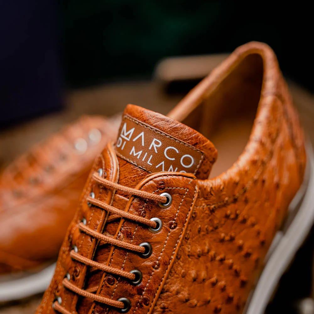 Scanno Antique Cognac - Image 10
