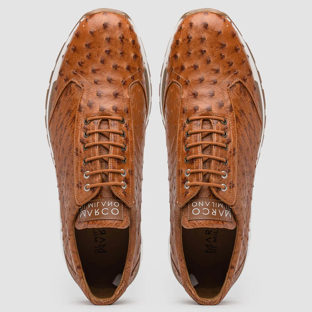 Scanno Antique Cognac - Image 4
